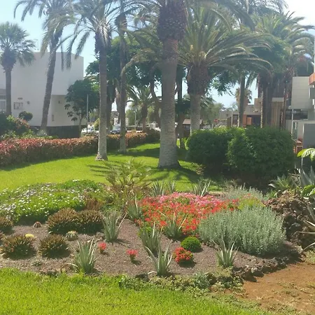 아파트 Residencial Primavera