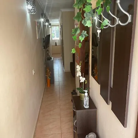 Residencial Primavera 德尔锡伦西奥海岸